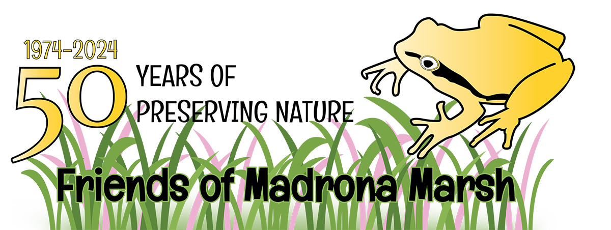 Logo Design for Friends of Madrona Marsh's 50th Anniversary
